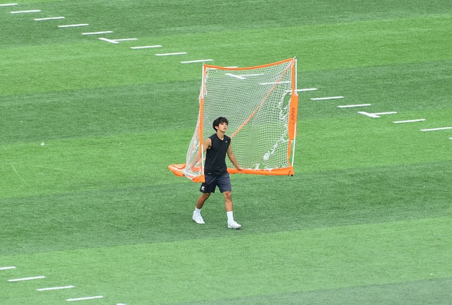每一次训练