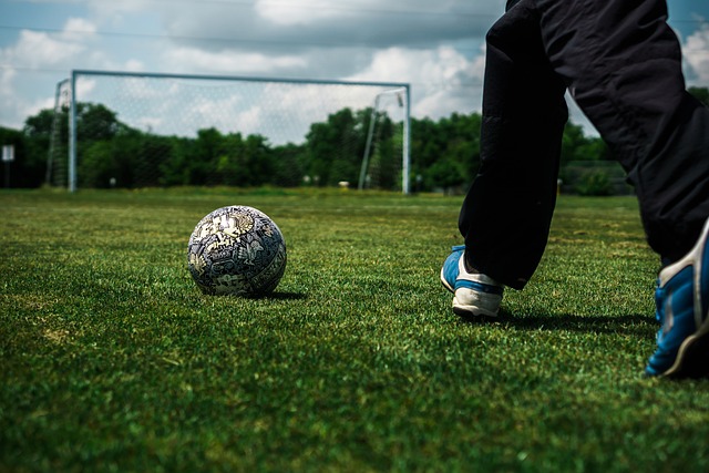 力和出色的 力和出色的