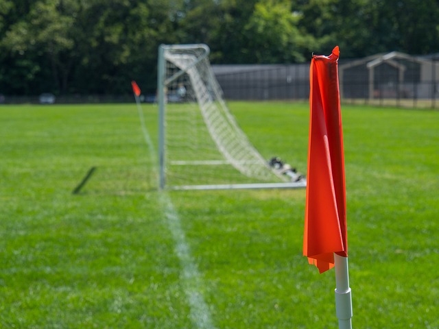 球比赛的规 球比赛的规