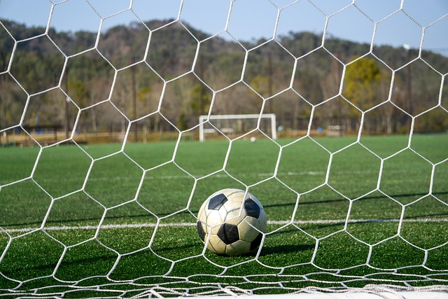 如何填补他 如何填补他