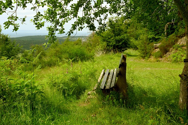 比賽整體過 比賽整體過
