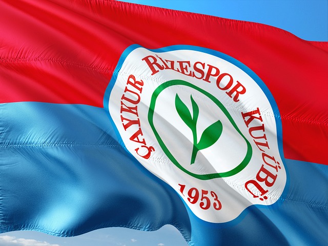 限制條款並 限制條款並